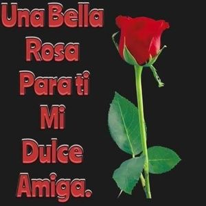 Meet your Posher, Zulma